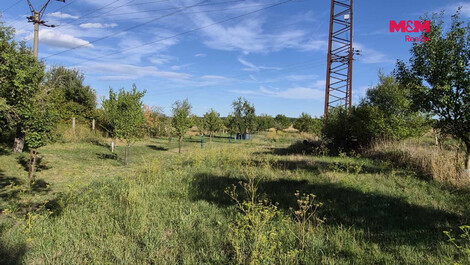 953/foto12_11549897_19ex6c.jpg