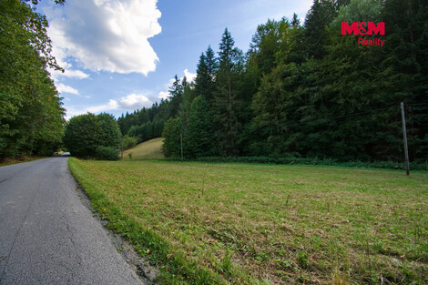 953/foto12_11550311_yz9vg.jpg