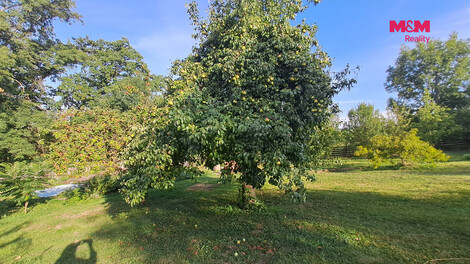 953/foto12_11550374_11fi6o.jpg