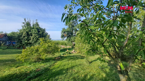 953/foto12_11550374_1cv18c.jpg