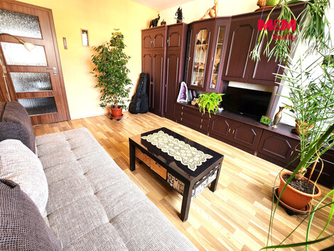 954/foto12_11547909_8yb5w.jpg