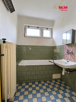 954/foto12_11549178_979b4.jpg
