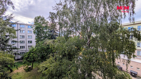 954/foto12_11549894_1g1hlo.jpg