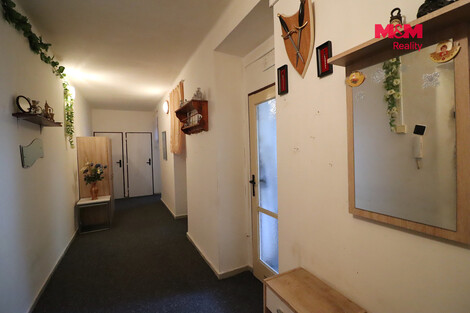 954/foto12_11550299_mt7qg.jpg