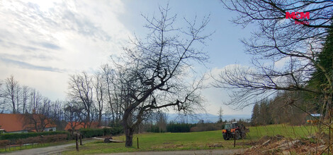 954/foto12_11550348_v6hn8.jpg