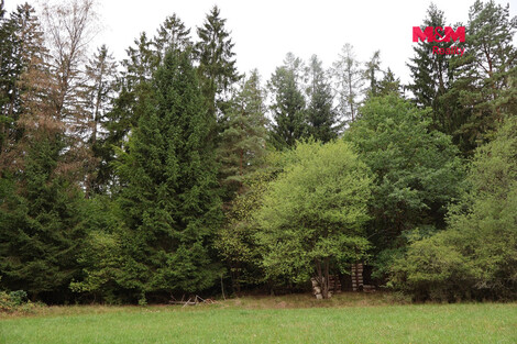 954/foto12_11551289_6jly0.jpg