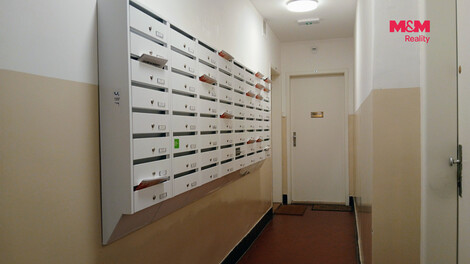 954/foto12_11551961_1fdhy0.jpg