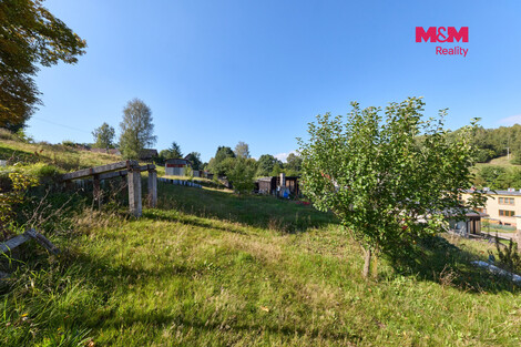 954/foto12_11553816_13r9dw.jpg