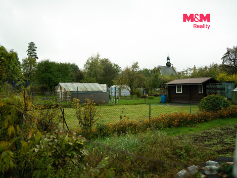 954/foto12_11557297_1bnrto.jpg