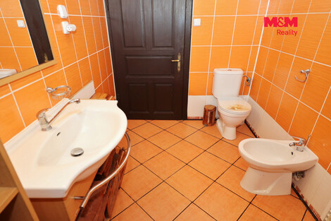 955/foto12_11553874_6jqhw.jpg