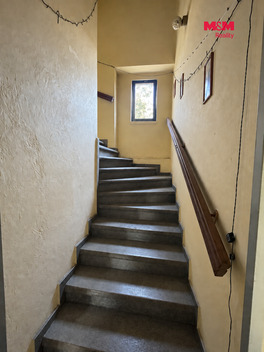 955/foto12_11554196_qjvhw.jpg