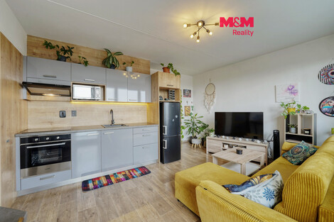955/foto12_11554872_40leg.jpg