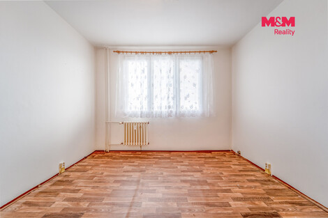 955/foto12_11554881_zyad8.jpg