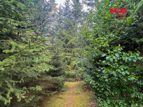 955/foto12_11554939_11slbs.jpg