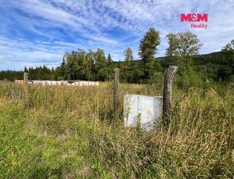 955/foto12_11554939_cd17w.jpg