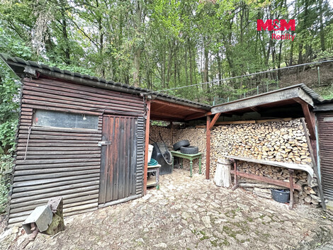 955/foto12_11554979_16t4ms.jpg