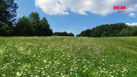 955/foto12_11555472_fvyic.jpg