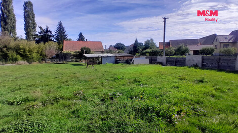955/foto12_11555560_gtdio.jpg