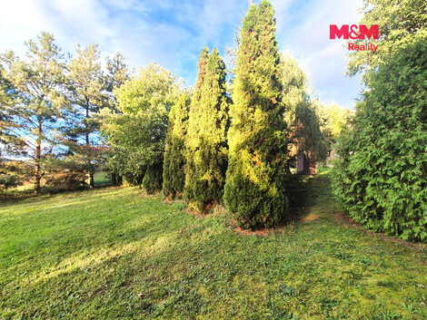 955/foto12_11556175_5qol4.jpg