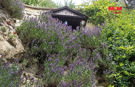 955/foto12_11556801_1kg9yk.jpg