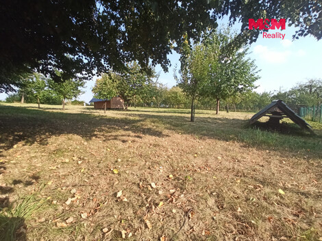 955/foto12_11557330_z0cu8.jpg