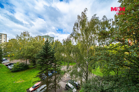 955/foto12_11557339_1ef2d0.jpg