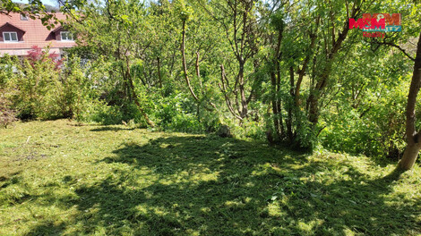 955/foto12_11558502_162wcc.jpg
