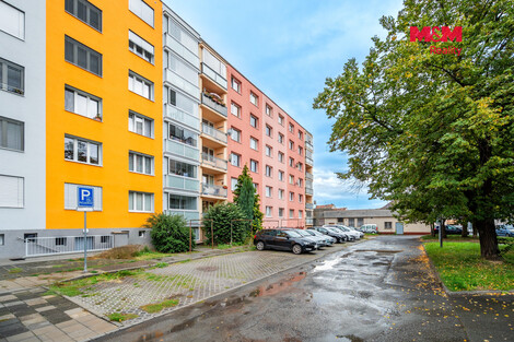 955/foto12_11559196_buzok.jpg