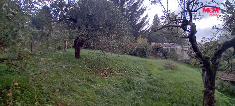 955/foto12_11559744_16tlas.jpg