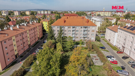 955/foto12_11561425_1hze9o.jpg