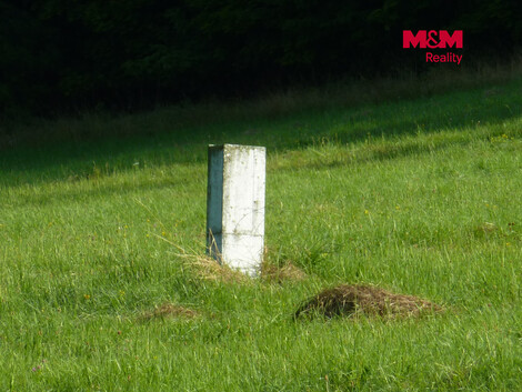 956/foto12_11557550_1adqsw.jpg