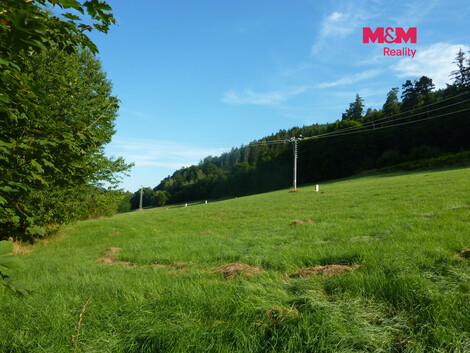 956/foto12_11557559_oiecw.jpg