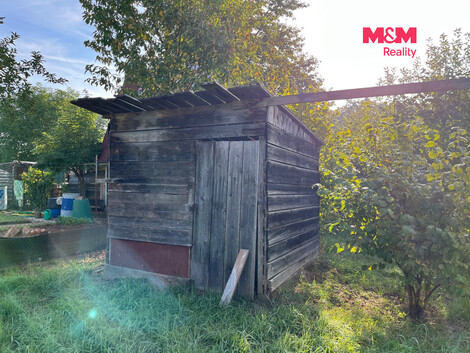 956/foto12_11558469_64wxk.jpg