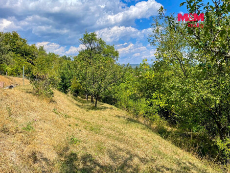 956/foto12_11558564_4d3ms.jpg
