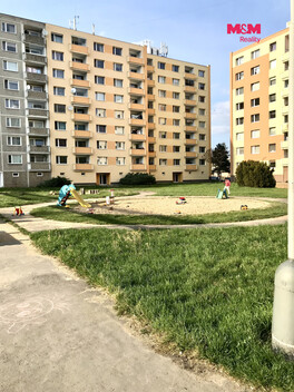 956/foto12_11559775_uw6w0.jpg