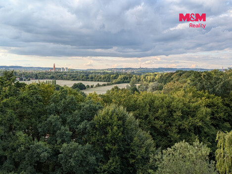956/foto12_11562047_tfzss.jpg