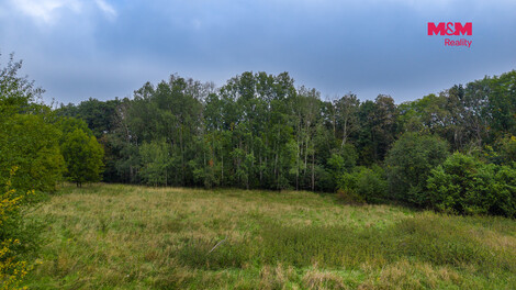 956/foto12_11562636_1lye14.jpg
