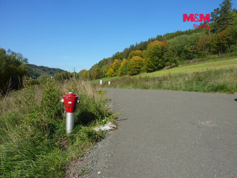 956/foto12_11562739_13x9l8.jpg