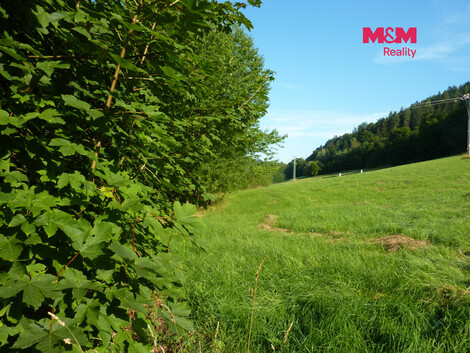 956/foto12_11562739_le3m0.jpg