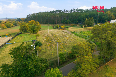 956/foto12_11565941_1nozw.jpg