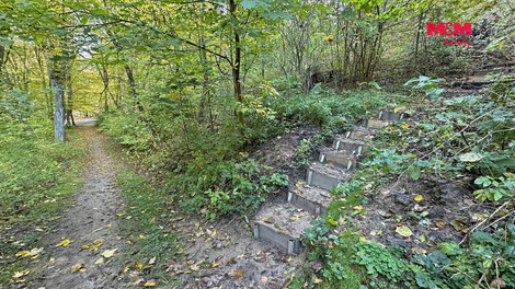 956/foto12_11572445_1jy970.jpg