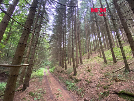 957/foto12_11562699_13zxt4.jpg