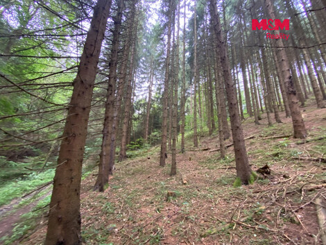 957/foto12_11562699_kf4l0.jpg