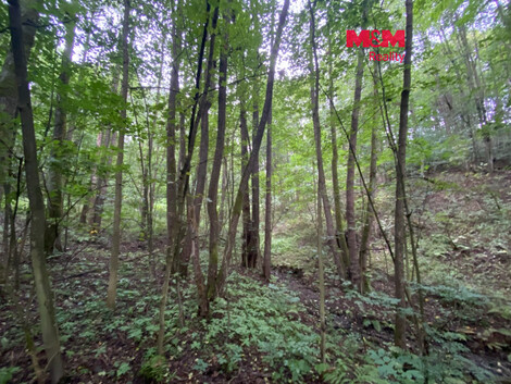 957/foto12_11562729_1ewt0o.jpg