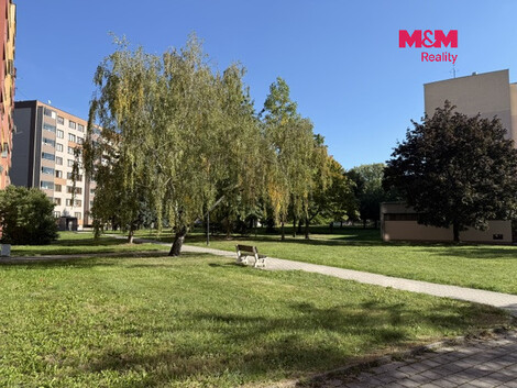 957/foto12_11563280_xfwfk.jpg