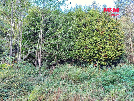 957/foto12_11565217_10agps.jpg