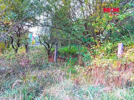 957/foto12_11565217_icd5c.jpg