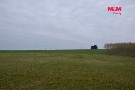 957/foto12_11565270_1hbigw.jpg