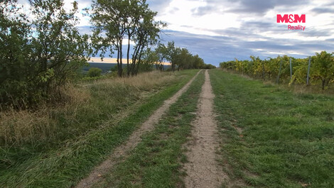 957/foto12_11565315_16lh3c.jpg