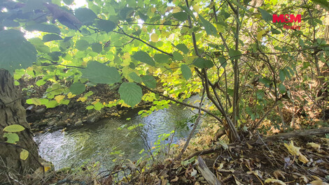 957/foto12_11565954_kp6uo.jpg